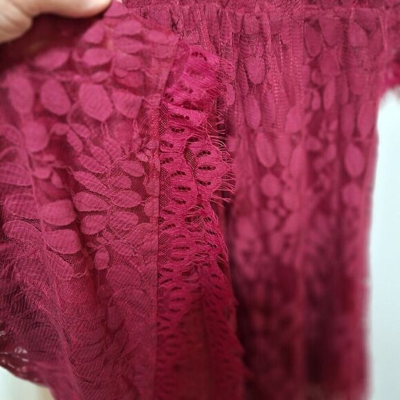 Torrid Women's Lace‎ Dress Size 24 Lined 3/4 Sleeve Wine Valentines Holiday - Picture 4 of 14